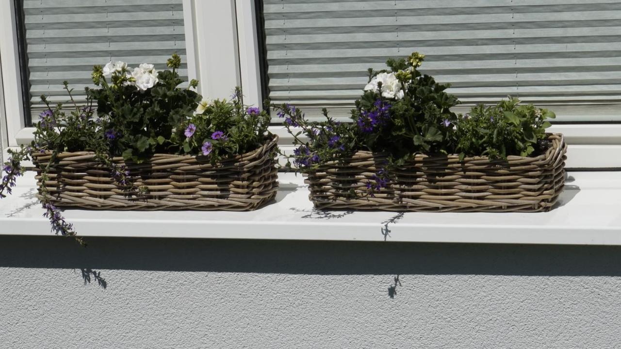 Ferienwohnung Wiesenblick Nahe Region Celle Und Hannover 布赫霍尔茨 外观 照片