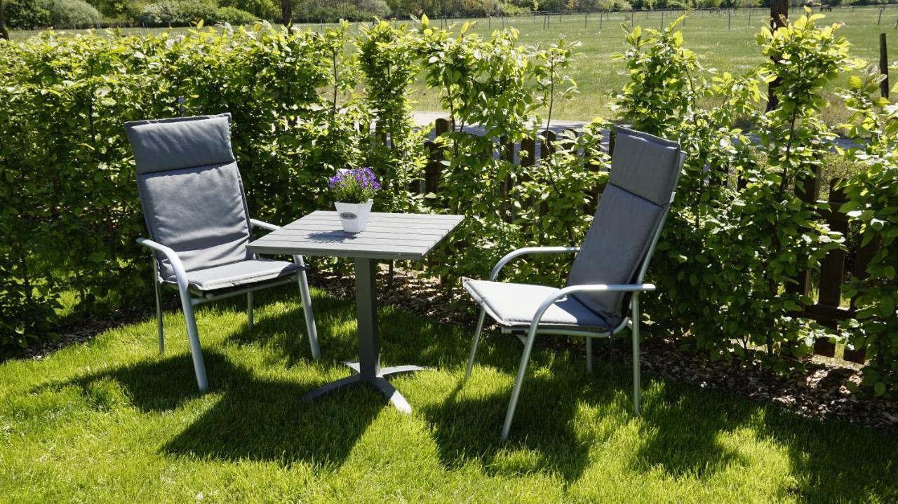 Ferienwohnung Wiesenblick Nahe Region Celle Und Hannover 布赫霍尔茨 外观 照片