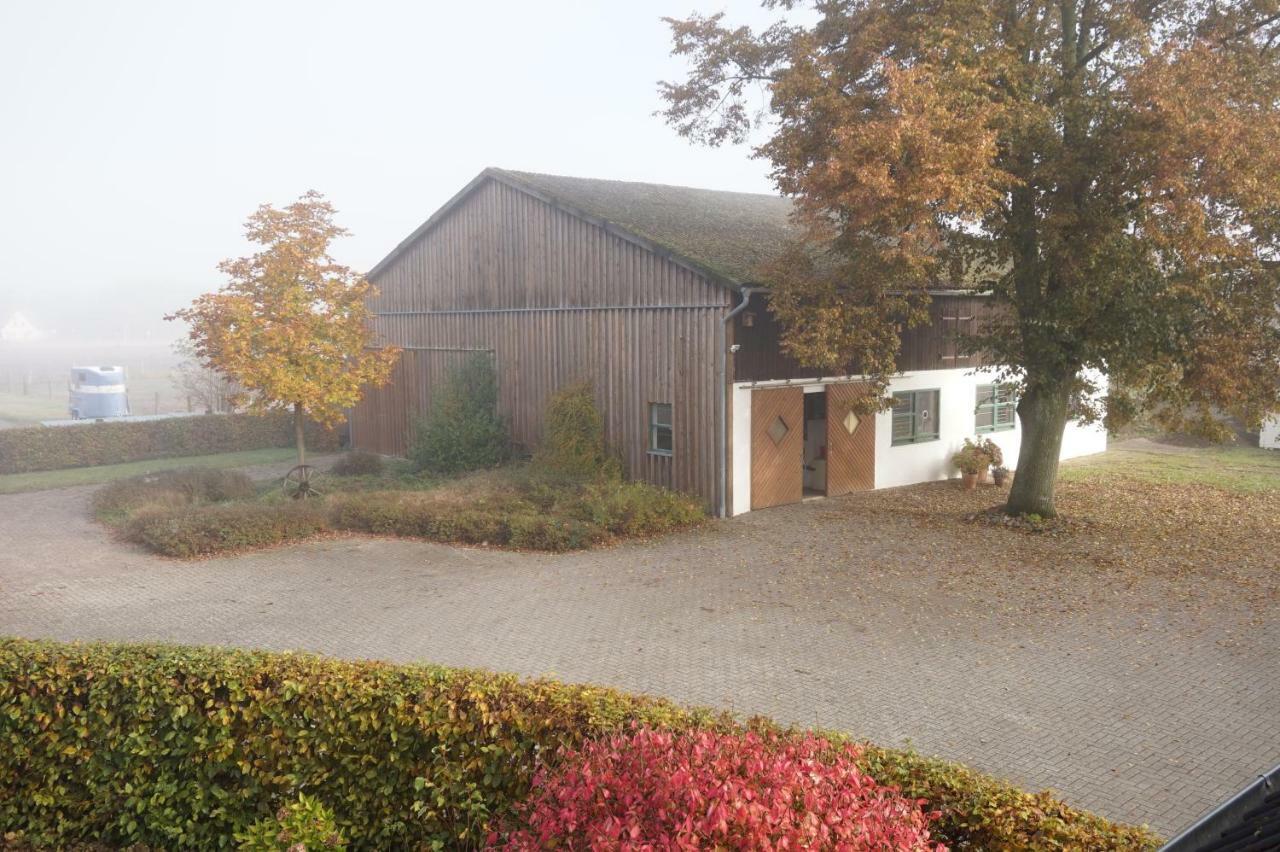 Ferienwohnung Wiesenblick Nahe Region Celle Und Hannover 布赫霍尔茨 外观 照片