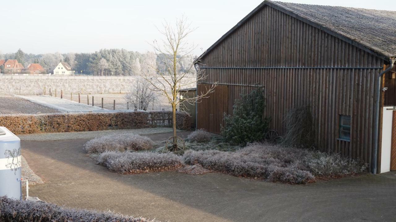 Ferienwohnung Wiesenblick Nahe Region Celle Und Hannover 布赫霍尔茨 外观 照片